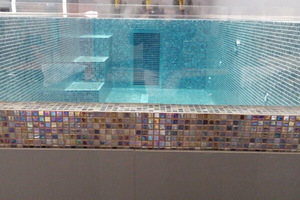 overflow-bespoke-mosaic-pool-wtih-glass-wall-in-florida-